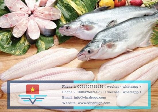 Frozen basa fish fillet Vietnam