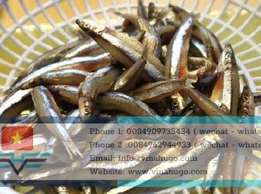 Vietnam dried anchovy