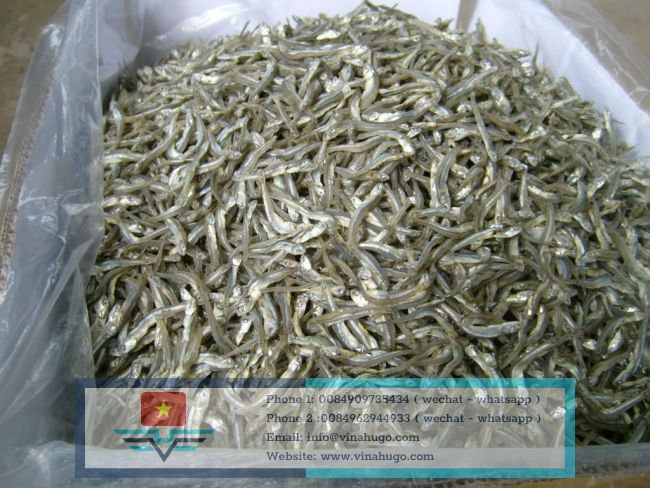 Vietnam dried anchovy