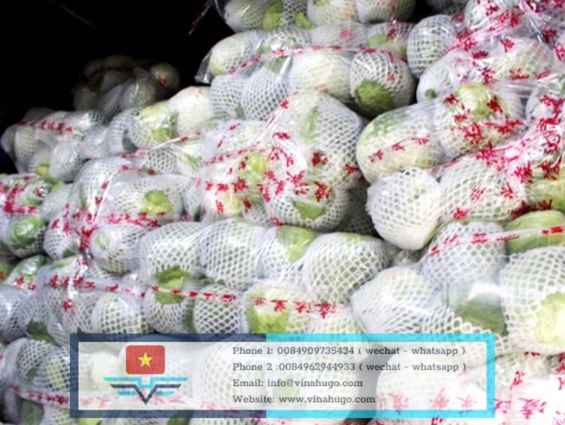 Image 25-10-25 at 21.55.1