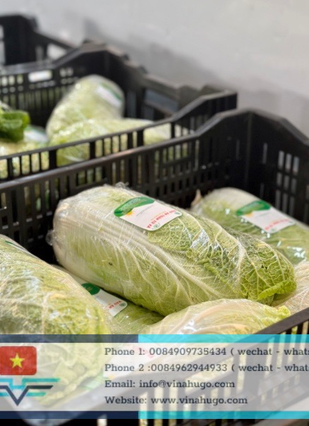 Image 25-10-25 at 21.55