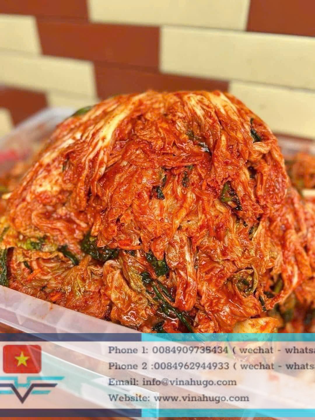 Vietnam Large Cabbage – Fresh, Crunchy & Ideal for Kimchi Production!