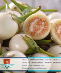 Premium Thai Eggplant – The Crunchy, Nutrient-Rich Tropical Jewel