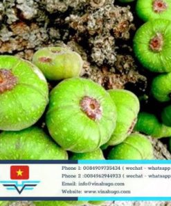 Premium Vietnamese Fig (Trái Vả) – The Culinary Treasure of Hue
