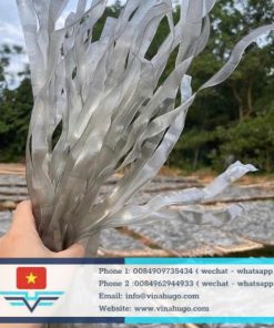 Premium Large-Strand Canna Vermicelli (Miến Dong Sợi To) – The Ultimate Bold & Chewy Texture