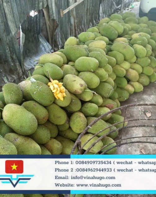 Image 4-5-26 at 19.37 (1)