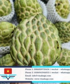 Premium Vietnamese Custard Apple – The "Heart of the Mountain" Sweetness