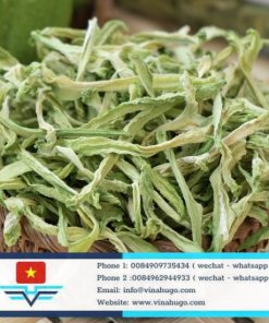 Premium Vietnamese Dehydrated Chayote – The Crisp, Low-Calorie Versatile Vegetable