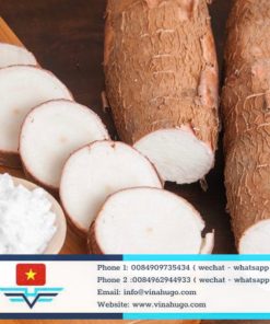 Premium Cassava & Jicama (Root Vegetables) – Quality Agricultural Exports