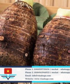 Fresh Taro – Premium Nutritious Vietnamese Root Vegetable for Export