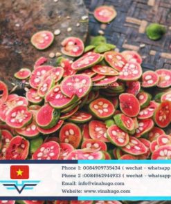 Dried Monkey Fruit – Premium Natural Sour Herb for Export