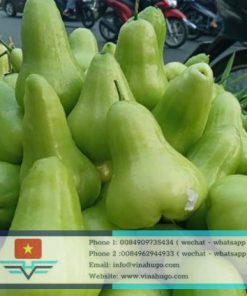 Fresh Wax Apple – Premium Juicy Bell Fruit for Export