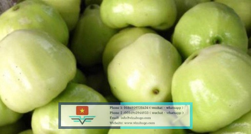 Image 4-5-26 at 21.34
