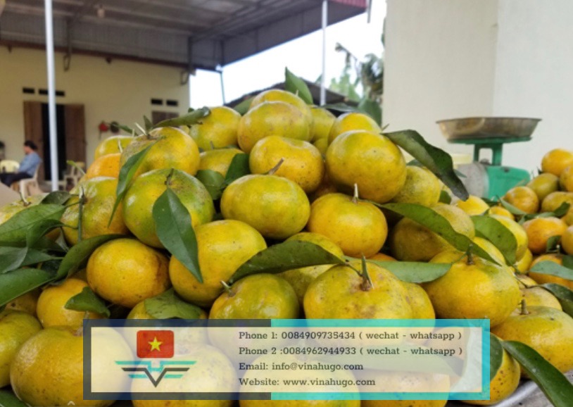 Image 4-5-26 at 22.01 (1)