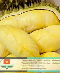 Fresh Monthong Durian – Premium "King of Fruits" for Global Export
