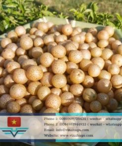 Fresh & Dried Mac Mat Fruit – The Secret Spice of Northern Vietnam for Export