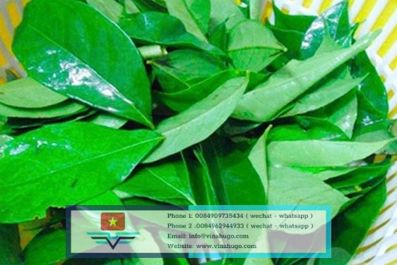 Image 4-5-26 at 22.33