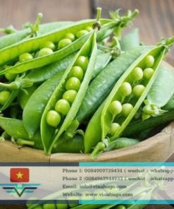 Fresh & Processed Green Peas – Nutritious Plant-Based Protein for Export