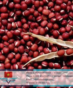 Red Beans (Adzuki Beans) – Nutritious & High-Quality Pulses for Export