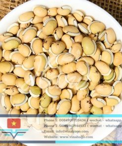 Hyacinth Beans (Lablab Beans) – Traditional Nutritious Legumes for Export