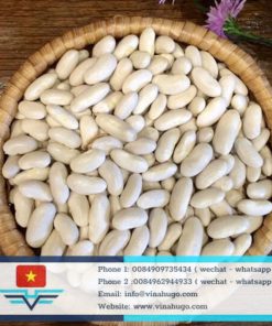 White Kidney Beans (Cannellini Beans) – Nutritious & High-Fiber Pulses for Export