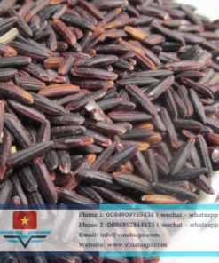 Premium Black Glutinous Rice – Nutritious & High-Quality Superfood for Export