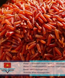 Premium Red Brown Rice – Whole Grain, Nutritious & Heart-Healthy for Export
