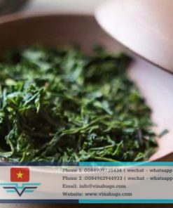 Premium Vietnamese Sencha Green Tea – Japanese Technology & Highland Quality
