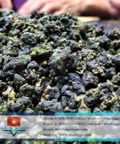 Premium Vietnamese Oolong Tea – Exquisite Aroma & Smooth Umami for Export