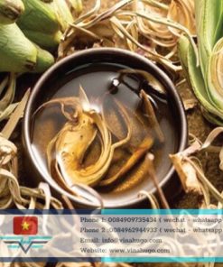 Premium Vietnamese Artichoke Tea – Natural Detox & Wellness for Export