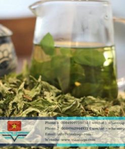 Premium Vietnamese Peppermint Tea – Refreshing, Pure & Cooling for Global Export