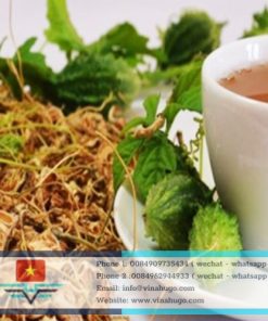 Premium Vietnamese Bitter Melon Tea – Natural Blood Sugar Support & Detox for Export