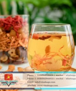 Premium Cordyceps Militaris Tea – The Ultimate Longevity & Vitality Elixir