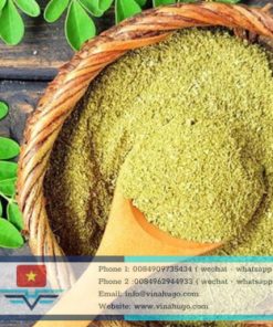 Premium Vietnamese Moringa Tea – The Nutrient-Rich Superfood for Export