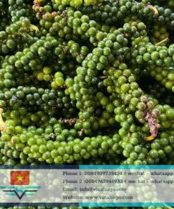 Vietnamese Green Peppercorns – Fresh, Aromatic & Gourmet Quality for Export