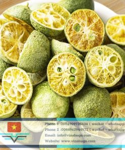 Premium Freeze-Dried Calamansi – 100% Pure, Aromatic & Nutrient-Locked for Export