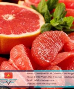 Premium Vietnamese Red Pomelo – The Symbol of Prosperity & Health for Export