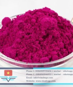 Premium Vietnamese Dragon Fruit Powder – Vibrant, Nutritious & 100% Natural