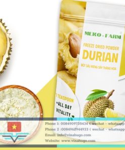 Premium Vietnamese Durian Powder – 100% Pure & Intense Flavor for Global Export