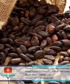 Premium Vietnamese Unfermented Cocoa Beans – High Polyphenol & Raw Quality for Export
